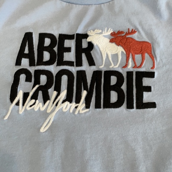 Abercrombie kids light blue embroidered T-shirt. Size 9-10 - Picture 2 of 5